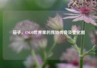 茄子，CSGO世界里的独特传奇及变化图