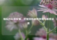畅玩PUBG低配版，挖掘别样游戏体验与画质设置