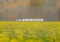 CSGO 里那些爱你的身影