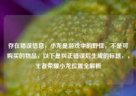 存在错误信息，小龙是游戏中的野怪，不是可购买的物品，以下是纠正错误后生成的标题，，王者荣耀小龙位置全解析