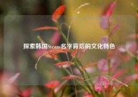 探索韩国Steam名字背后的文化特色