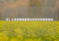 惊！王者荣耀国服瑶玩家背后竟都是富婆