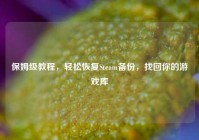 保姆级教程，轻松恢复Steam备份，找回你的游戏库