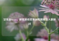 女生玩Steam，探索游戏世界别样精彩及人数探讨