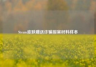Steam皮肤赠送诈骗报案材料样本