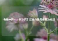 电脑一开Steam就卡死？这些方法帮你解决难题