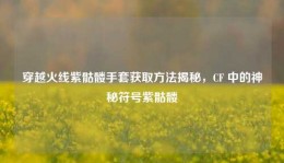 穿越火线紫骷髅手套获取方法揭秘，CF 中的神秘符号紫骷髅