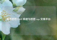 探寻悠悠 CSGO 踪迹与悠悠 csgo 交易平台