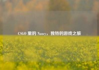 CSGO 里的 Nancy，独特的游戏之旅