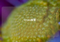 CF1184探索