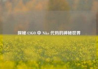 探秘 CSGO 中 Niko 代码的神秘世界