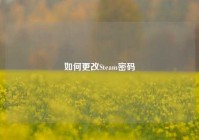 如何更改Steam密码