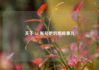 关于 lol 帐号吧的那些事儿