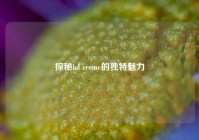 探秘lol creme的独特魅力