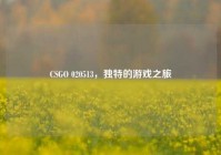 CSGO 020513，独特的游戏之旅