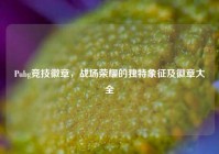 Pubg竞技徽章，战场荣耀的独特象征及徽章大全