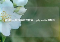 走进Pubg哥拉鸡游戏世界，pubg mobile哥斯拉