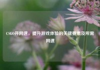CSGO开网速，提升游戏体验的关键要素及所需网速