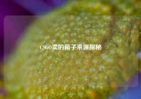 CSGO卖的箱子来源探秘