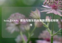 Steam上CSGO，竞技与娱乐的完美融合及名称探寻