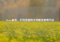 Steam备份，不可忽视的大问题及使用方法