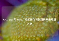 CSGO 2025 年 Major，持续进化与创新的未来规划之路