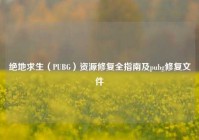 绝地求生（PUBG）资源修复全指南及pubg修复文件