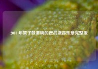 2018 年架子鼓奏响的逆战激昂乐章完整版