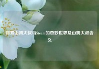 探索山姆大叔与Steam的奇妙世界及山姆大叔含义