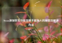 Steam添加好友功能受限不能加人的原因及解决办法