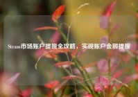 Steam市场账户提现全攻略，实现账户金额提现