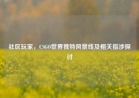 社区玩家，CSGO世界独特风景线及相关指涉探讨