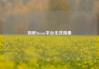剖析Steam平台无效现象