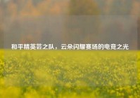 和平精英芸之队，云朵闪耀赛场的电竞之光