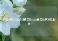 探寻灰色Steam游戏背后及Steam是否处于灰色地带