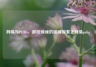 网易与PUBG，游戏领域的碰撞探索之网易pubg