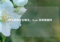 师父游戏平台相关，Steam 及其他疑问