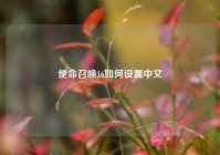 使命召唤16如何设置中文
