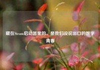藏在Steam启动器里的，是我们没说出口的数字青春
