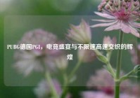 PUBG德国PGI，电竞盛宴与不限速高速交织的辉煌