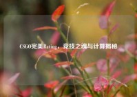 CSGO完美Rating，竞技之魂与计算揭秘