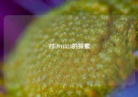 对cf911523的探索