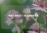 穿越火线利刃 CF 黑龙刺获取方法