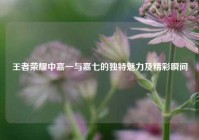 王者荣耀中嘉一与嘉七的独特魅力及精彩瞬间