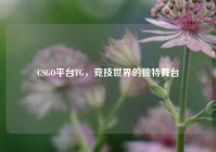 CSGO平台TG，竞技世界的独特舞台