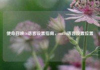 使命召唤16语言设置指南，cod16语言设置位置