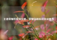 王者荣耀匹配段位框，荣耀征程标识及设置方法