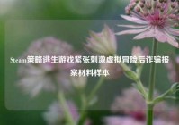 Steam策略逃生游戏紧张刺激虚拟冒险后诈骗报案材料样本