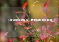 王者荣耀陈赫帐号，传闻与真相大揭秘