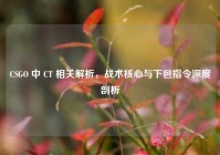 CSGO 中 CT 相关解析，战术核心与下包指令深度剖析